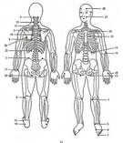 Taiji in 24 Bewegungen die Pekingform